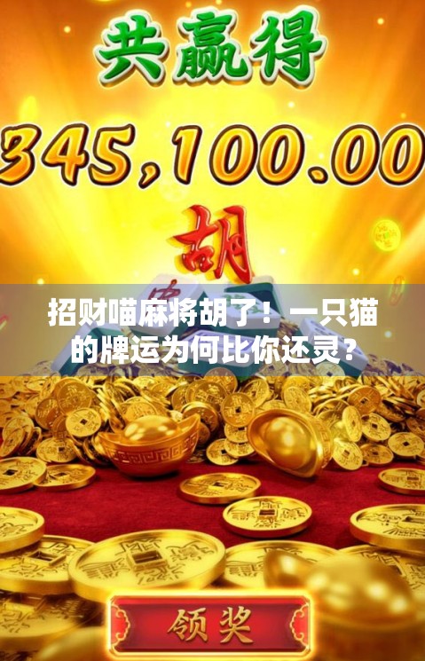 招财喵麻将胡了!一只猫的牌运为何比你还灵? 招财喵麻将胡了!一只猫的牌运为何比你还灵?