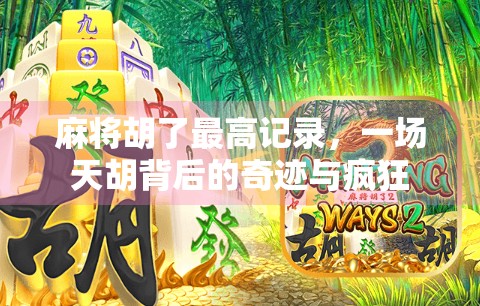 麻将胡了最高记录，一场天胡背后的奇迹与疯狂